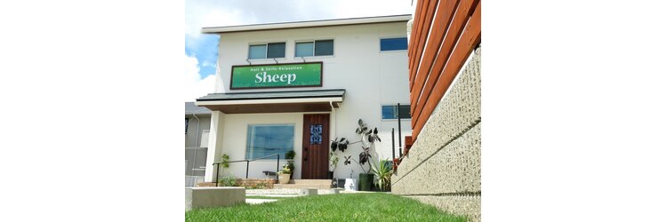 シープ(Sheep)のサロンヘッダー