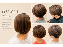 アサクラ シンキタ(ASAKURA SHINKITA)
