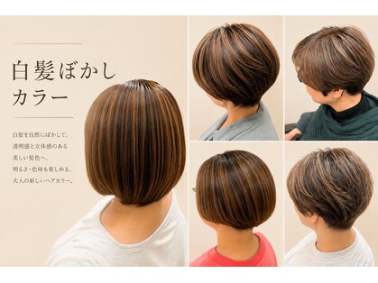 アサクラ シンキタ(ASAKURA SHINKITA)の写真
