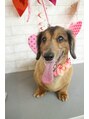 シャル 錦糸町(shalu) うちのわんちゃん(^ ^)可愛いおじいちゃんです♪[錦糸町]