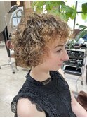 プードルヘアー