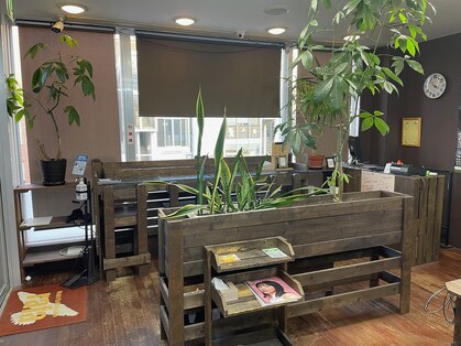 ヘアーアンドエクステンション ラファ(Hair&Extension rafa)の写真