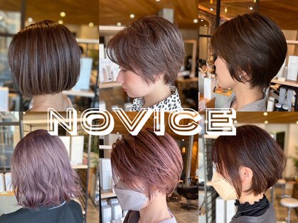 ノーヴィス(NovicE)の写真