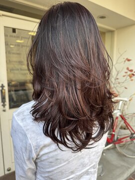 アウリンコ(aurinco) マッシュウルフにワインレッドカラーで