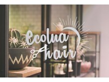 エコルアヘアー 北浦和(ecolua hair)の雰囲気(植物の多い心地良い空間です♪)