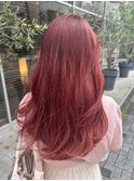 berry berry RED 【静岡/静岡駅】