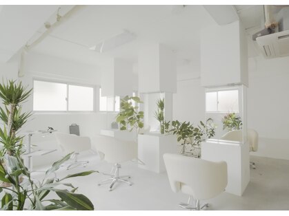 ルーツ 巣鴨 本店(roots)の写真