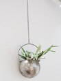 ナプリーフ(napleaf) お店の観葉植物の成長を楽しんでいます