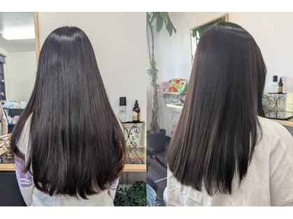 リューク(Ryu/Ku)の写真