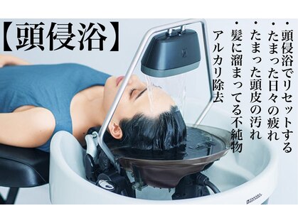 オヒアフォアプルメリア(OHIA for Plumeria)の写真
