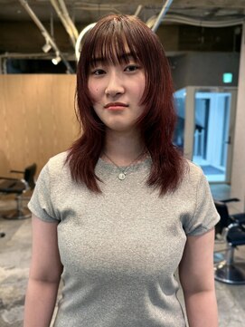 イトシテ ミディアムウルフレイヤー×ボルドーレッド　【鎌田　隆雅】