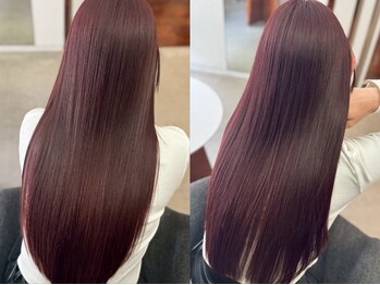 Zen.kyoto【ゼン キョウト】