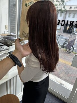 ベニス(VENICE) ボルドーカラー