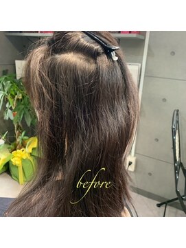 ヴィオラスバイポッシュ ギンザ(Violus by Posh GINZA) 絹髪矯正by髪質改善