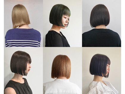 ルート(root)の写真