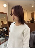 ピンクラベンダー