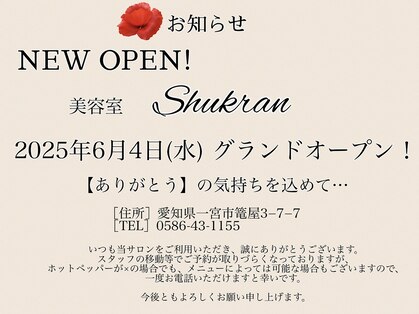 シュクラン(SHUKRAN)の写真