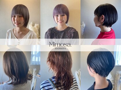 ミモザドット(Mimosa.)の写真