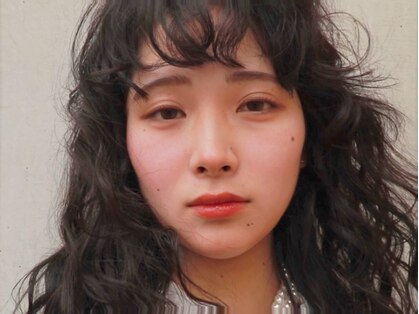 ハクボ(hakubo)の写真
