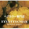 ミモザ(mimosa)のお店ロゴ