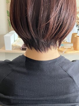 本と南風 guest design