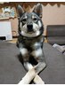 【メンズリラクゼーション】シェービング＋エステコース￥７５００