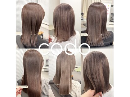 コド(codo)の写真