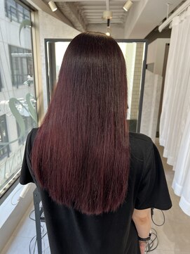 トリムバイエンヴィ(tlim by ENVY) チェリーレッド/ブリーチなしダブルカラー