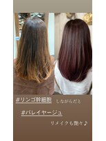 ランダーブルー(LANDER BLUE)&nbsp;バレイヤージュ リメイク