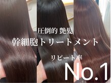 リンクミリ(Link mili)