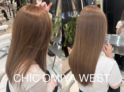 シック 大宮西口(CHIC)の写真