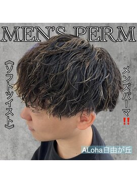 アロハ(ALoha) 《 ソフトツイスト 》メンズハイライト!