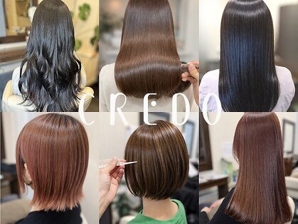 クレド(CREDO)の写真