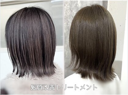 アルファ(alpha)の写真