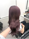 カシスラベンダー【町田】