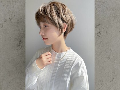 メロー(mellow)の写真
