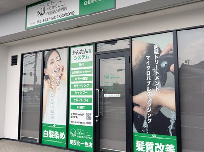 カラーのちから 愛西北一色店の写真
