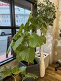 ブリングアウト(BRINGOUT) 店内の植物たちもスクスク育ってます♪