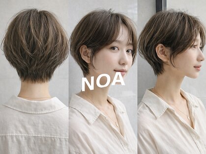 ノア(NOA)の写真