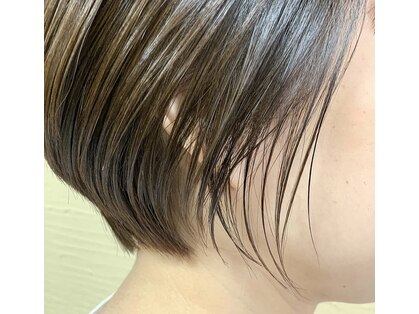 ジギィー(Ziggy)の写真