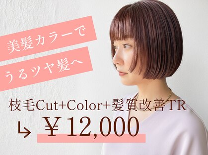 ディスコネクト(DISCO-N-NECT)の写真