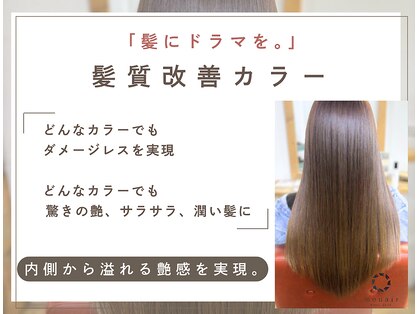 ムエール(mouair)の写真
