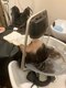 オニオンヘアー(onion hair)の写真/頭浸浴でリフレッシュ。炭酸の溶けたお湯をかけ流す贅沢な時間♪