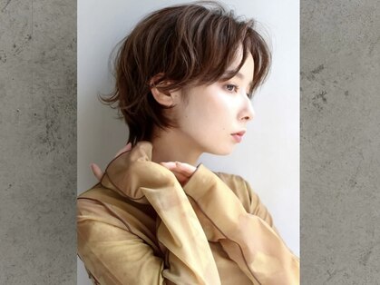 メロー(mellow)の写真