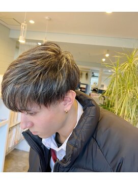 ルイラパレ(Louis La Pale) ハイライトカラー