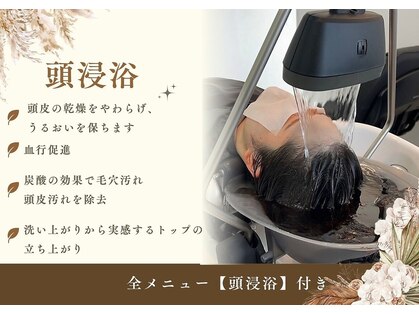 アン(an)の写真