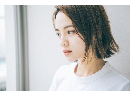 ブルーム(bloom)の写真