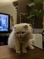 ユルク トウキョウ(jurk tokyo) ほたてくん飼ってます!猫好きな方語りたいです!