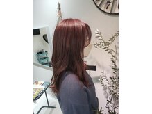 ノズ(NOZ)