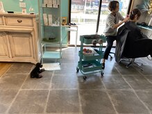 ＊マンツーマンで親身に寄り添うおもてなし＊　[福岡/六本松/ショート/ショートボブ/ボブ/ハイライト］